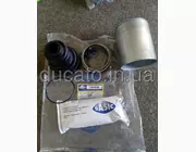 Пыльник шруса Opel Vivaro (2000-2014) внутренний правый, 4501297, 9161597, SAS1904006
